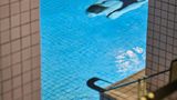 Hotel du Rond-Point des Champs Elysees Pool