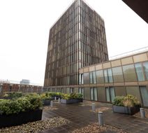 Cove Paradise Street Exterior