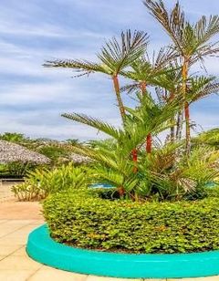 Alma Del Pacifico Beach Hotel & Spa