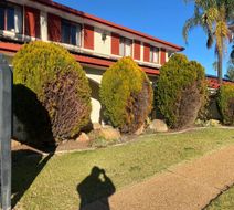 Narrandera Club Motor Inn Exterior