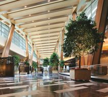 MGM Aria Resort & Casino Lobby