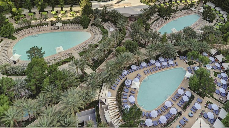 MGM Aria Resort & Casino Pool