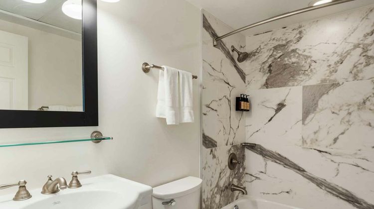 The Essex Resort & Spa Room