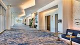 <b>Omni Fort Lauderdale Hotel Other</b>. Images powered by <a href="https://www.leonardoworldwide.com/" title="Leonardo Worldwide" target="_blank">Leonardo</a>.