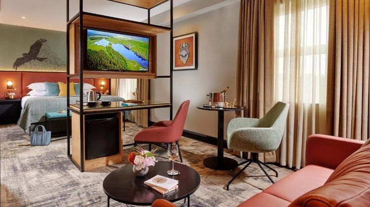 Shannon Springs Hotel Suite