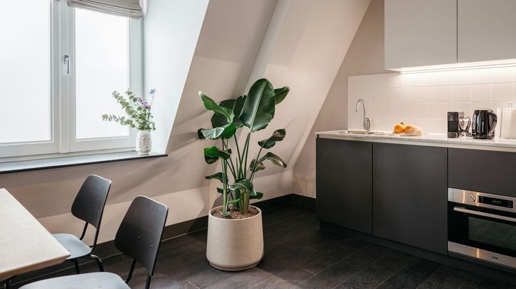 YAYS The Hague Willemspark Room