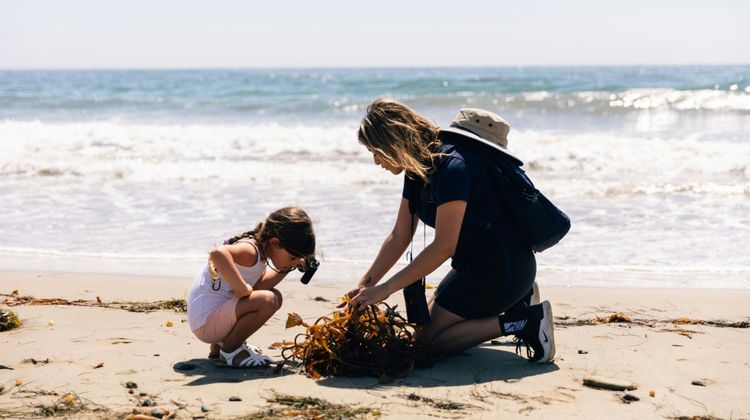 The Ritz-Carlton Bacara, Santa Barbara Beach