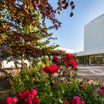 Dorint Hotel Am Main Taunus Frankfurt