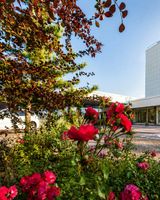 Dorint Hotel Am Main Taunus Frankfurt