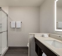 Holiday Inn Express Houston Downtown Room
