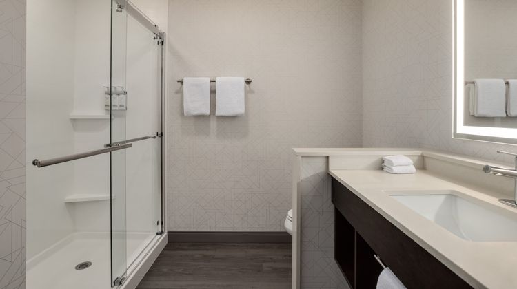 Holiday Inn Express Houston Downtown Room