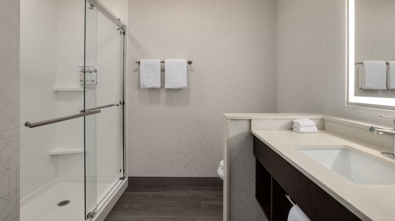 <b>Holiday Inn Express Houston Downtown Room</b>. Images powered by <a href="https://www.leonardoworldwide.com/" title="Leonardo Worldwide" target="_blank">Leonardo</a>.