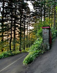 Brij Villa Dalhousie