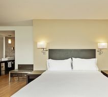 Fiesta Inn Naucalpan Room