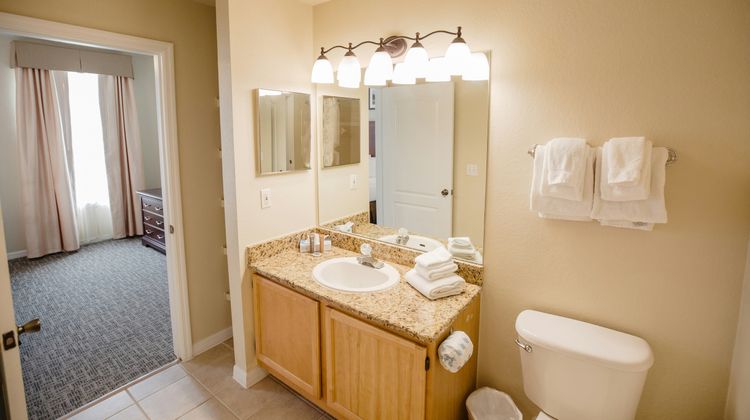 Calypso Cay Resort Room