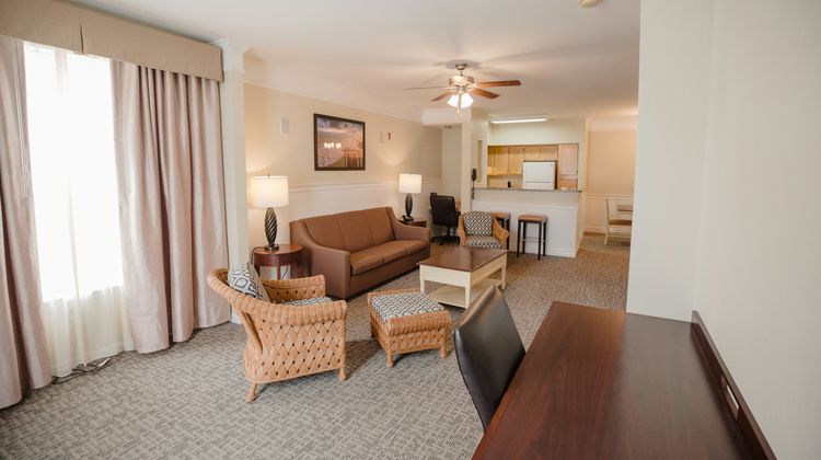 Calypso Cay Resort Room