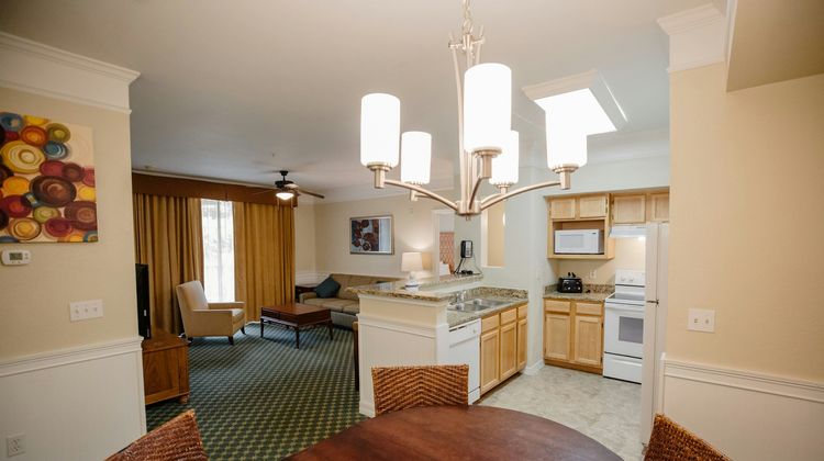 Calypso Cay Resort Room