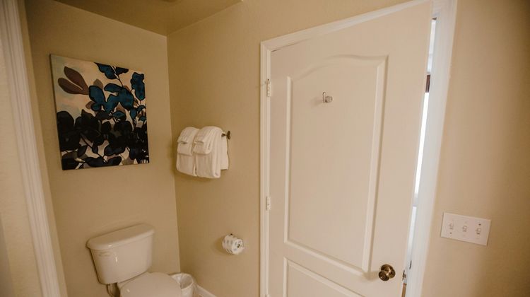 Calypso Cay Resort Room