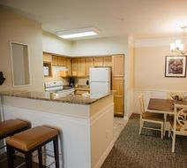 Calypso Cay Resort Room