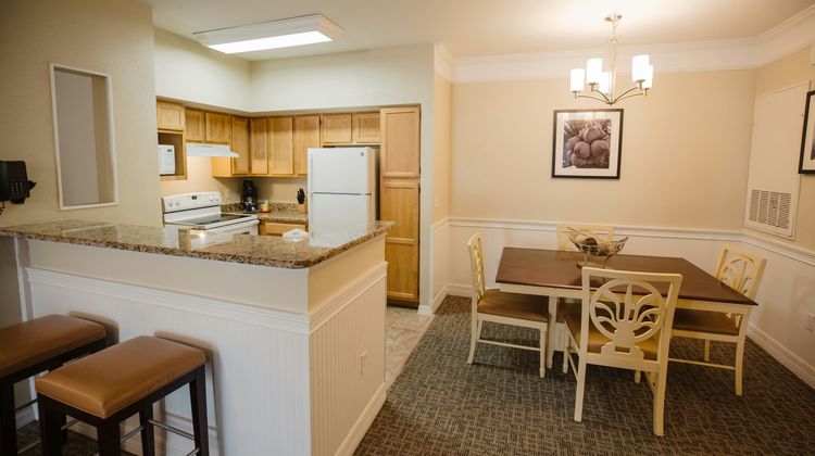 Calypso Cay Resort Room