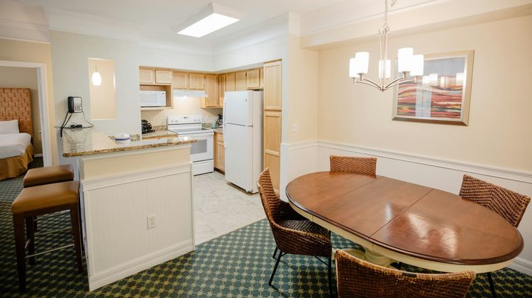 Calypso Cay Resort Room