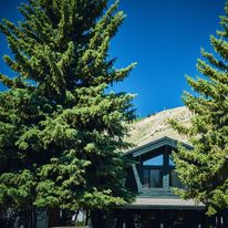 The Alpine House