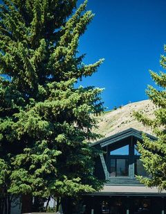 The Alpine House