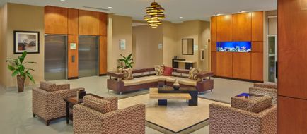 Holiday Inn Baymeadows Exterior