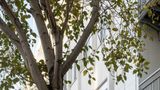 Signature Lux Hotel by ONOMO, Foreshore Exterior