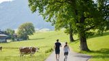 Das Walchsee Sportresort Other