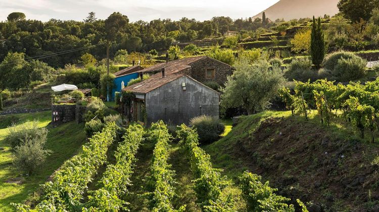 Monaci Delle Terre Nere Other