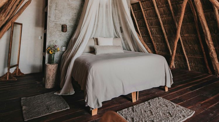 Papaya Playa, a Design Hotel Room
