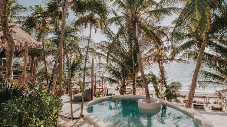 Papaya Playa, a Design Hotel Room