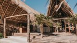 Papaya Playa, a Design Hotel Room