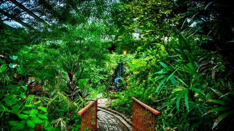 Family Garden Inn & Suites Exterior