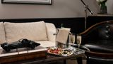 The Singular Suite