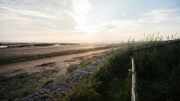Marine Troon Other