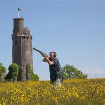 Ballyfin Demesne