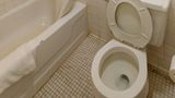 <b>Liberty Inn Room</b>. Images powered by <a href="https://www.leonardoworldwide.com/" title="Leonardo Worldwide" target="_blank">Leonardo</a>.