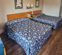 Skyways Motel Room