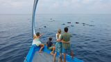 Emerald Maldives Resort & Spa Recreation