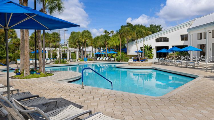 Marriott's Royal Palms Pool