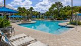 Marriott's Royal Palms Pool