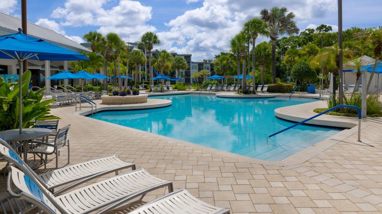 Marriott's Royal Palms Pool