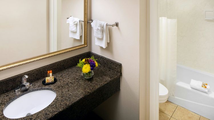 Coral Beach Resort Hotel & Suites Room