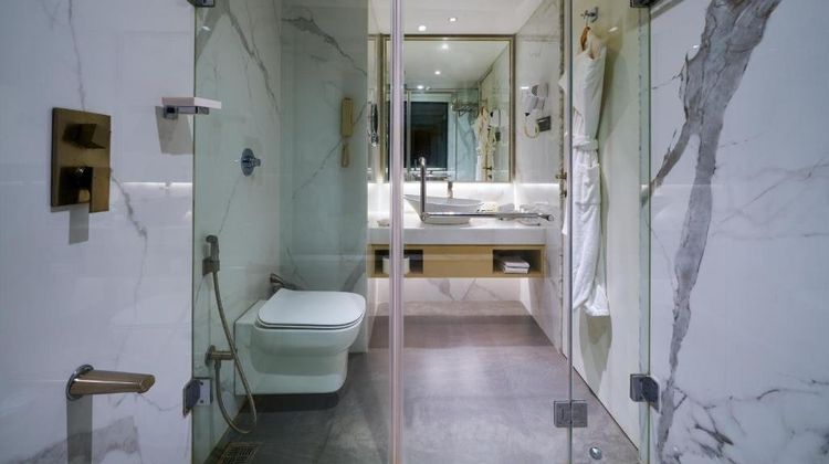 Sayaji Pune Room