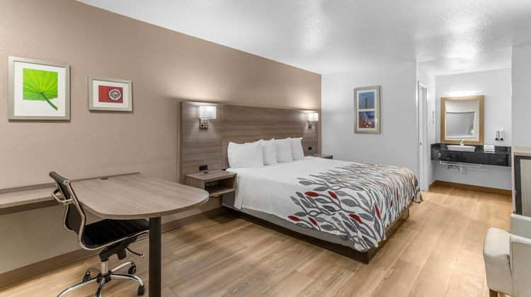 Red Roof Inn Houston-Jersey Village Room