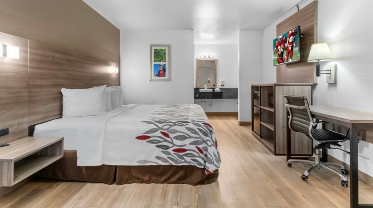 Red Roof Inn Houston-Jersey Village Room