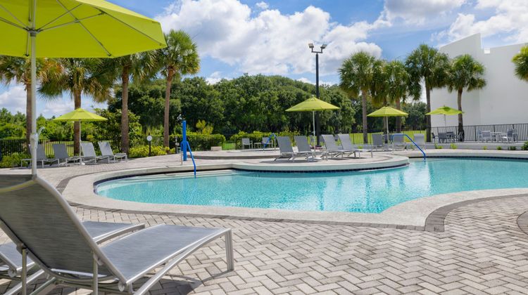 Marriott's Sabal Palms Pool
