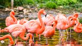 <b>Holiday Inn & Suites Merida La Isla Other</b>. Images powered by <a href="https://www.leonardoworldwide.com/" title="Leonardo Worldwide" target="_blank">Leonardo</a>.